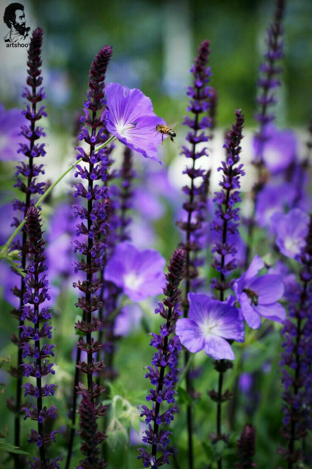 گل اورژینال رنگ روغن